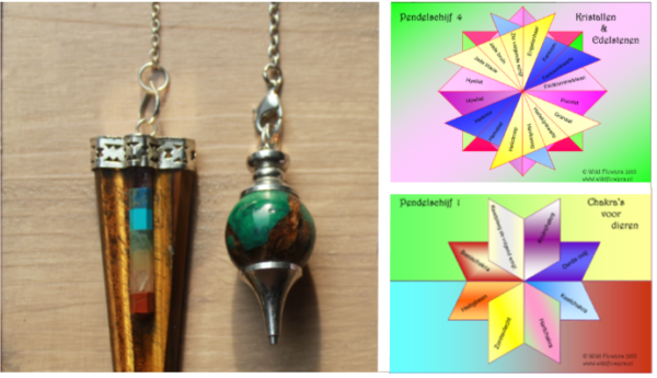 Pendelen en bio-tensor vaardigheden cursus