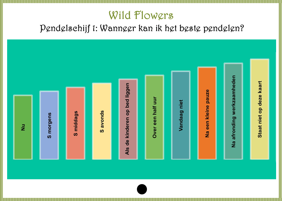Cursus pendelen en biotensor vaardigheden 2