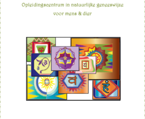 Chakra's en aromatherapie